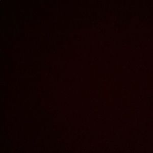 Meet your Posher, Bobby